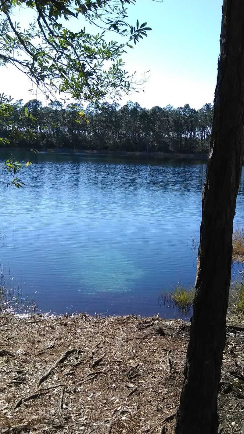 Ocala National Forest Region, Umatilla