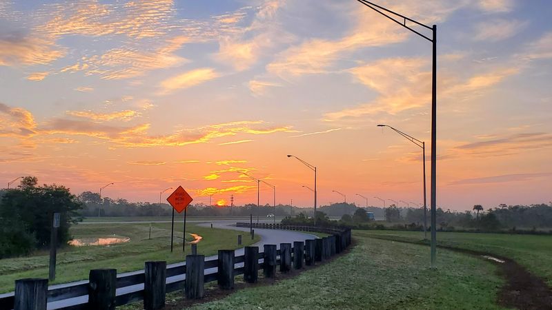 Loop Road Scenic Drive (Everglades): Big Cypress Wetlands