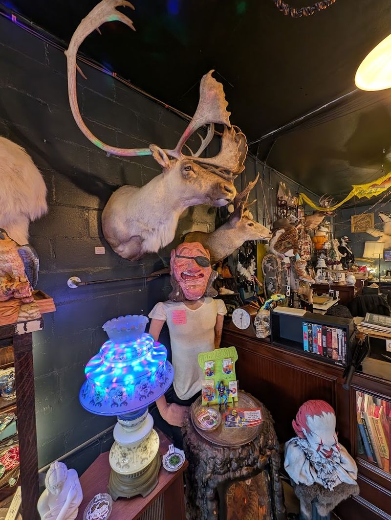 Antique Medical Instruments That Rewrite History