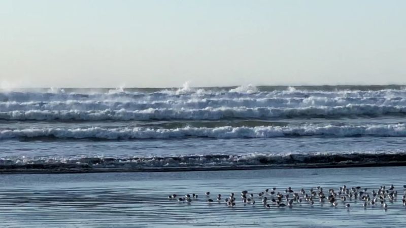 Ocean City OBA State Park Property, Ocean City, WA Ocean City OBA State Park Property, Ocean City, WA
