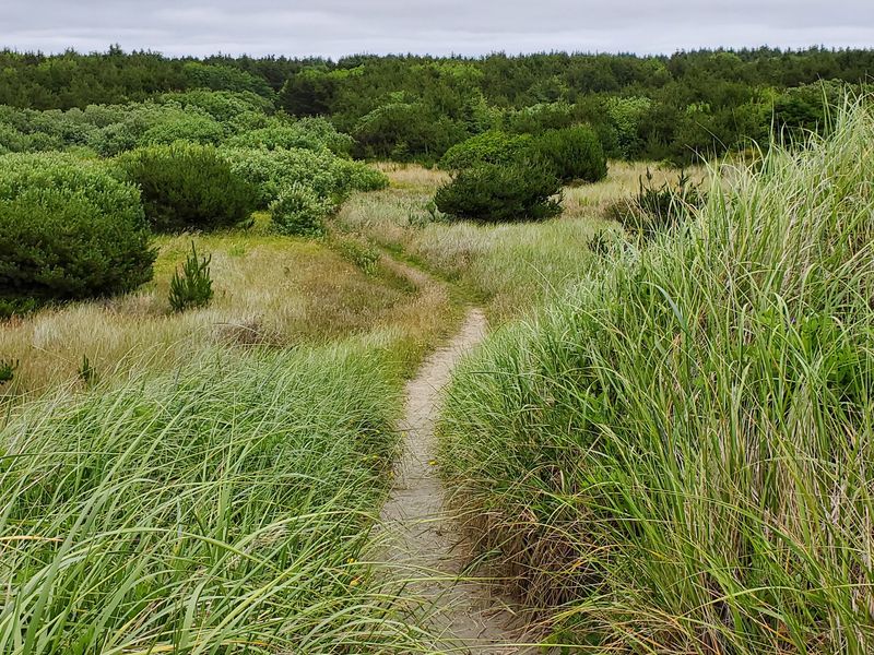Ocean City State Park Ocean City State Park