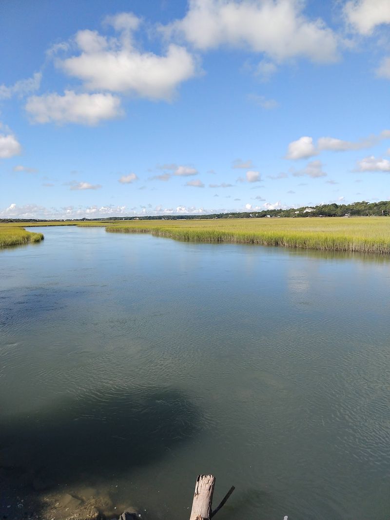 Ocean On The Left, Marsh On The Right Ocean On The Left, Marsh On The Right
