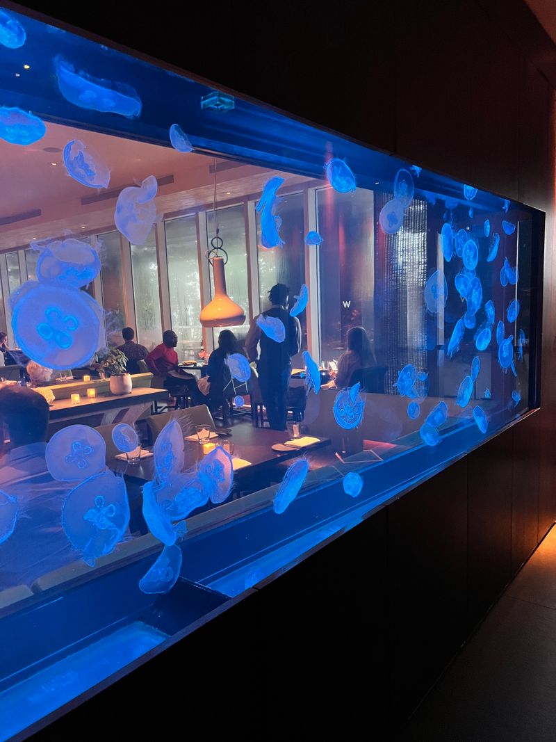 Steak 954, Fort Lauderdale