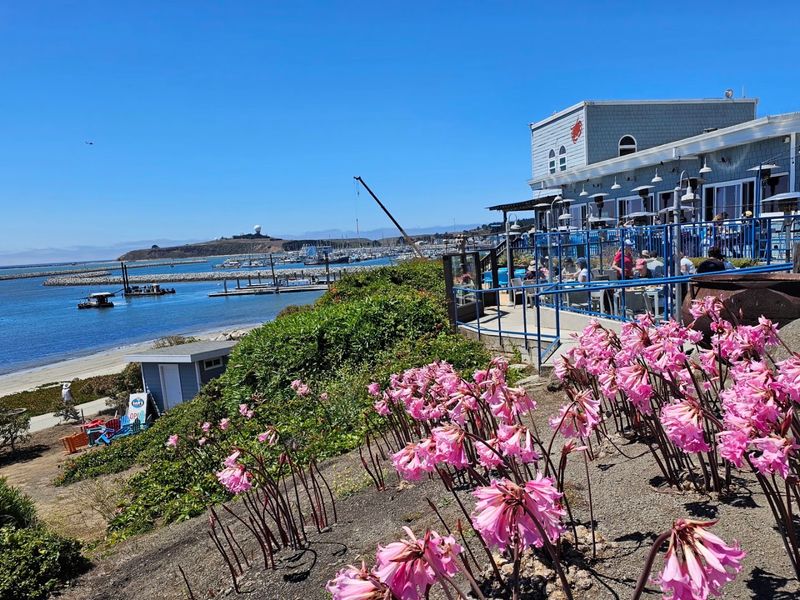 Oceanfront Views That Make Every Bite Better Oceanfront Views That Make Every Bite Better