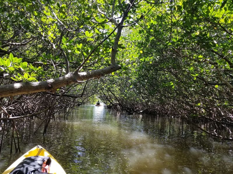 St. Lucie Inlet Preserve State Park
