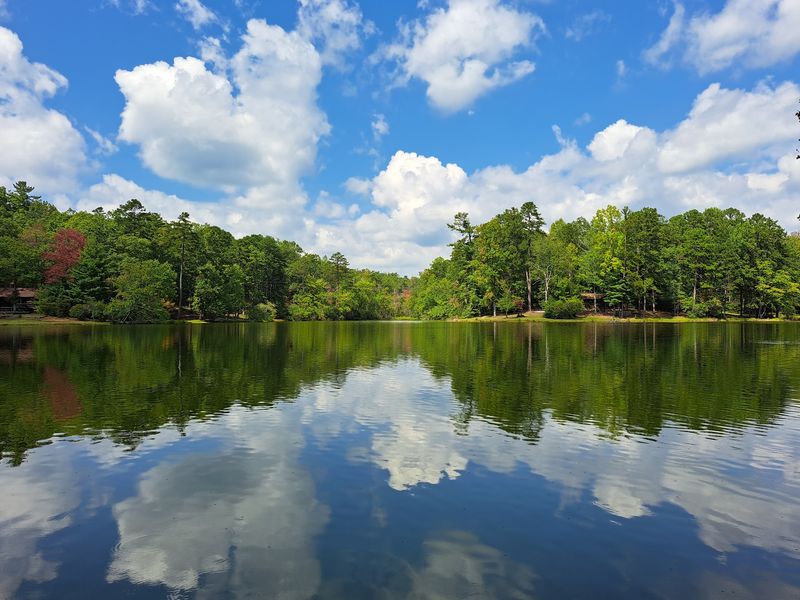 Oconee State Park Offers An Outdoor Playground Right Next Door