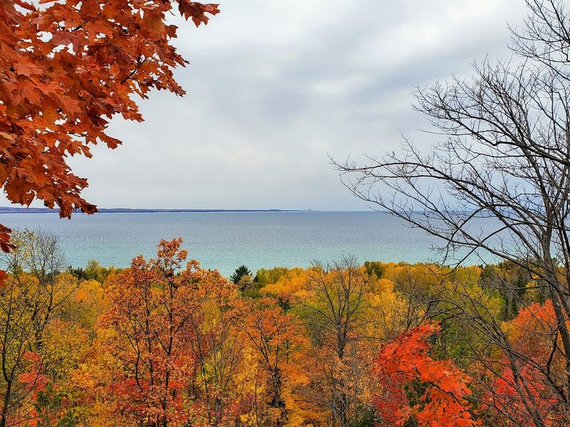 Tunnel Of Trees, Harbor Springs To Cross Village