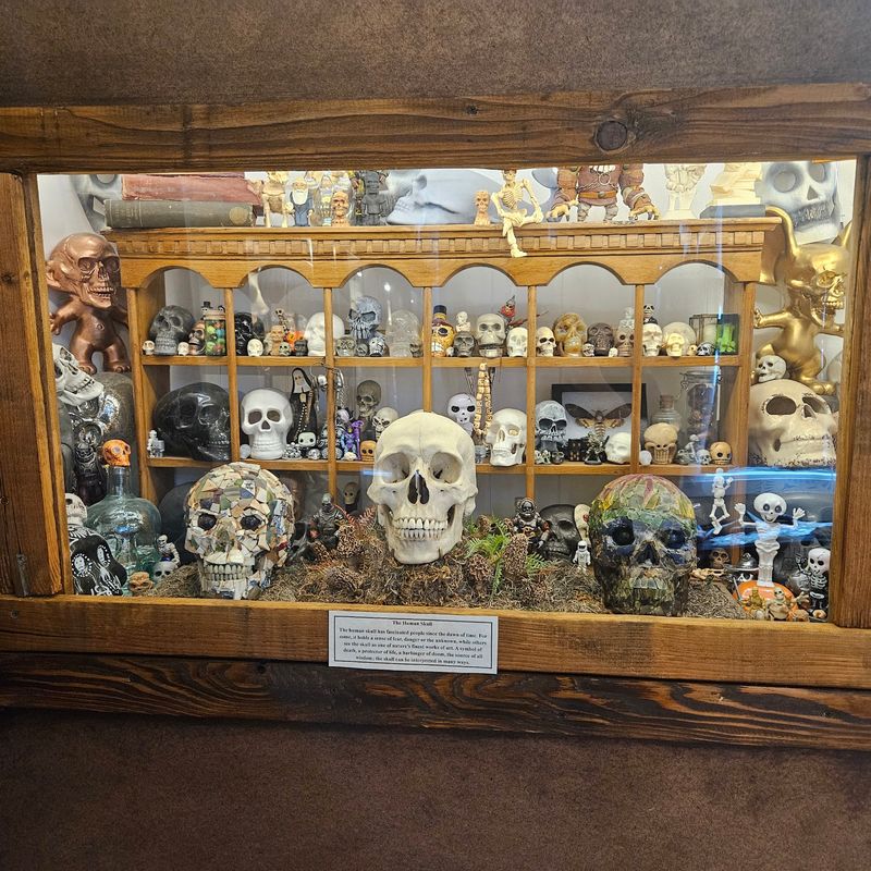 Oddities Hiding in Plain Sight Oddities Hiding in Plain Sight