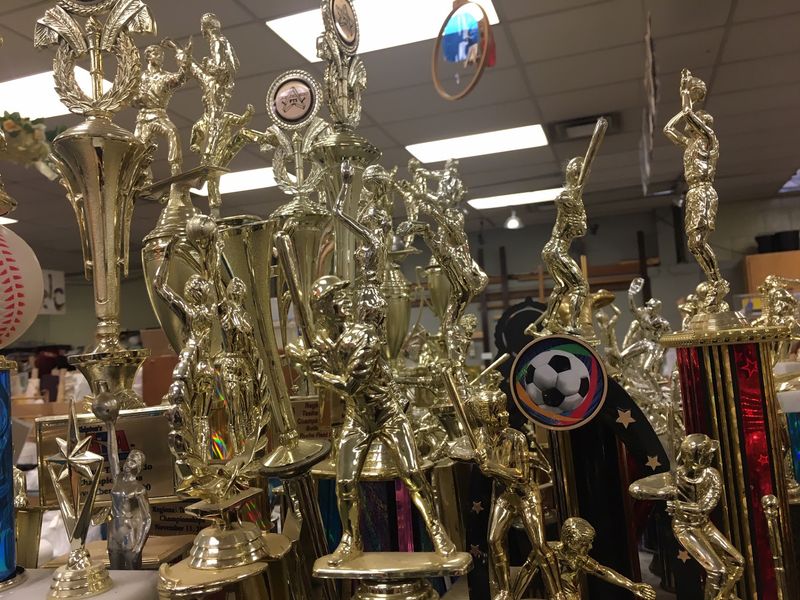 Oddities, Trophies, and Vintage Surprises