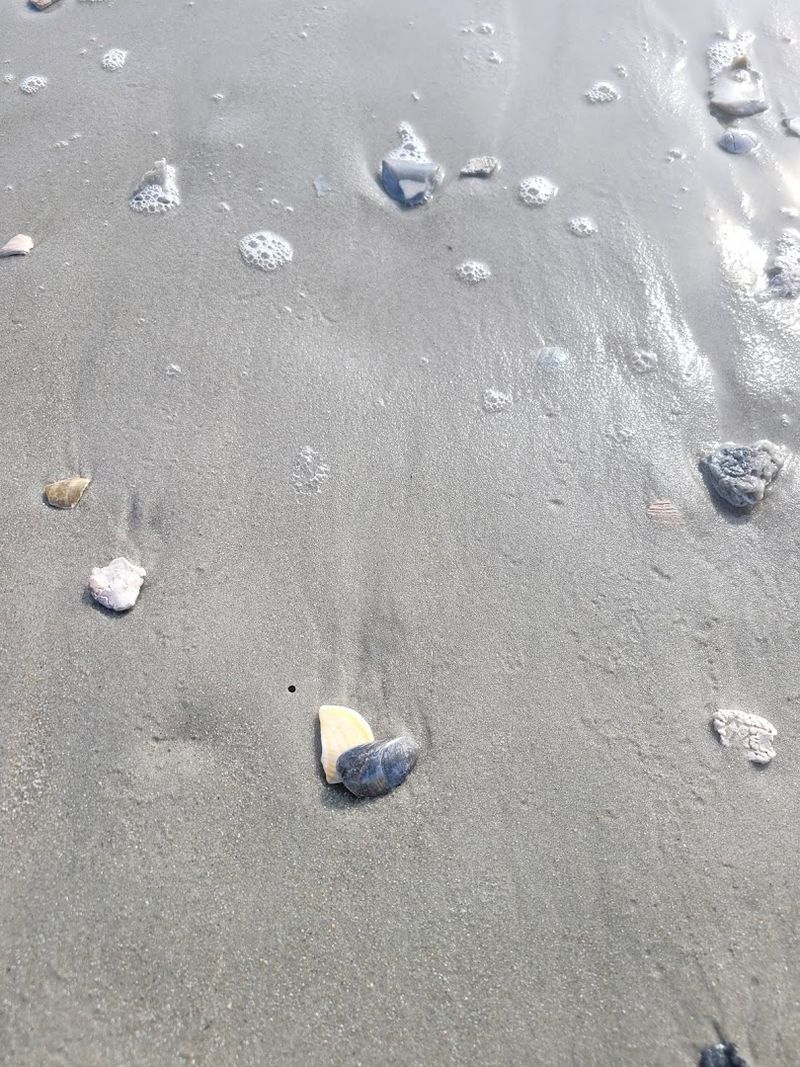 The Access Point Has No Amenities, And That Is Part Of Its Charm