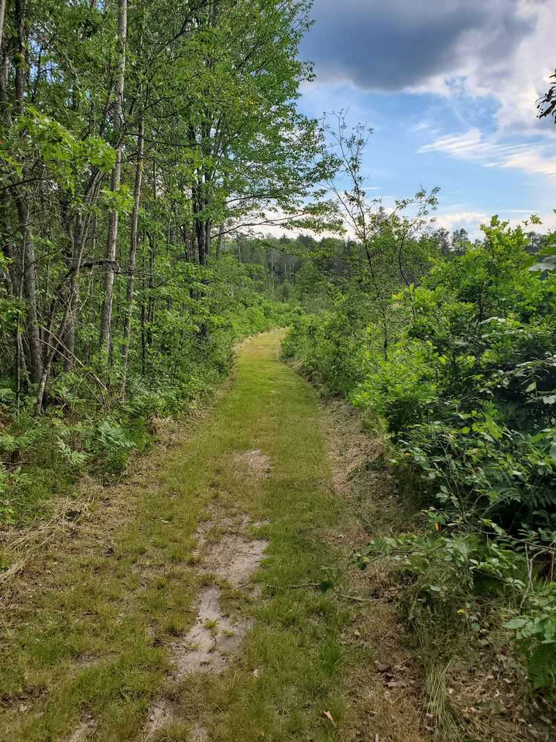 Buttles Road Pathway, Lewiston area