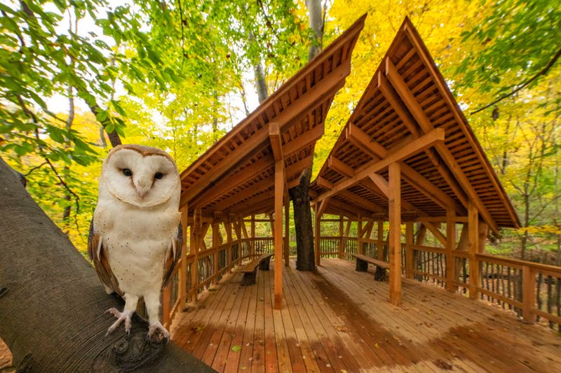 Ohio Bird Sanctuary, Mansfield