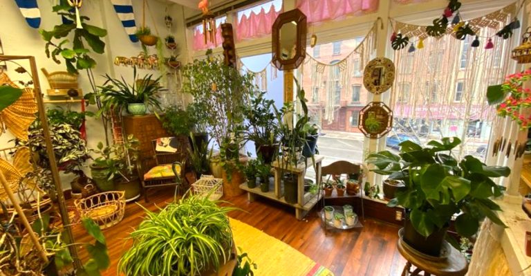 Ohio Has A Wonderfully Odd Shop And It’s Every Bit As Fascinating As You’d Hope
