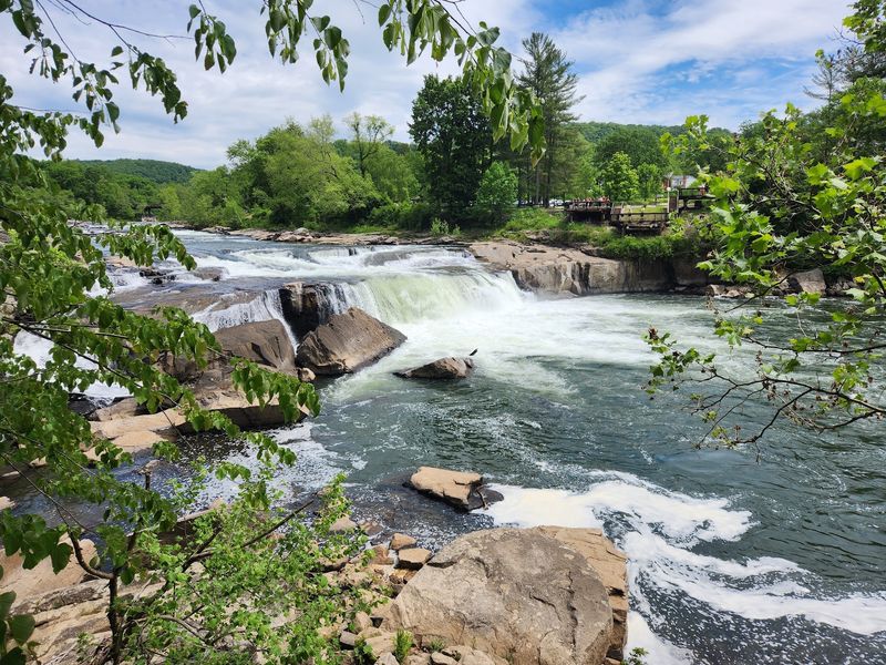 Ohiopyle Falls Steals the Show
