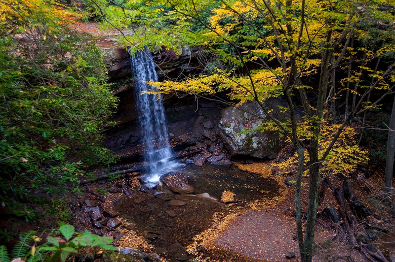 Ohiopyle State Park