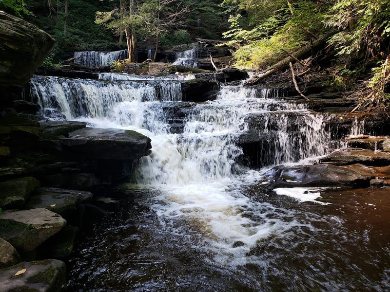 Ricketts Glen State Park, Benton