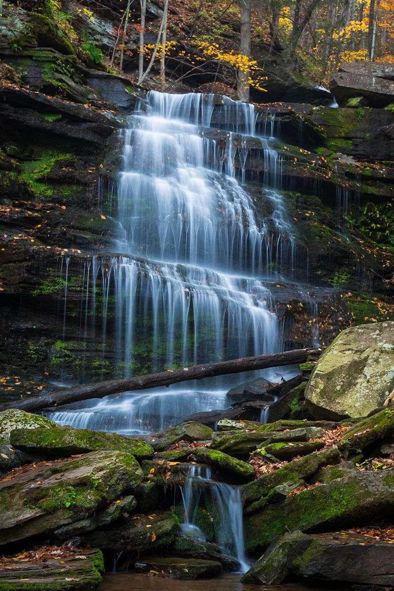 Leonard Harrison State Park, PA