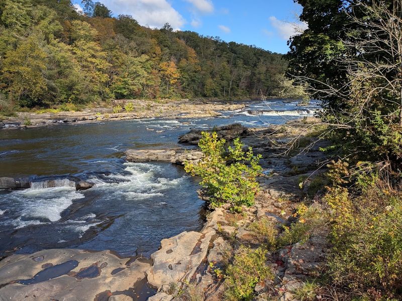 Ohiopyle State Park Surrounds The Entire Experience
