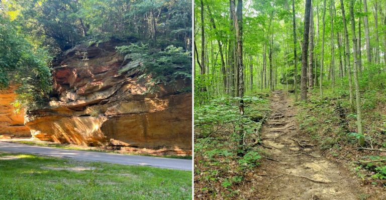Ohio’s Wildest Metro Park Feels Like A Hidden World Of Cliffs And Forests
