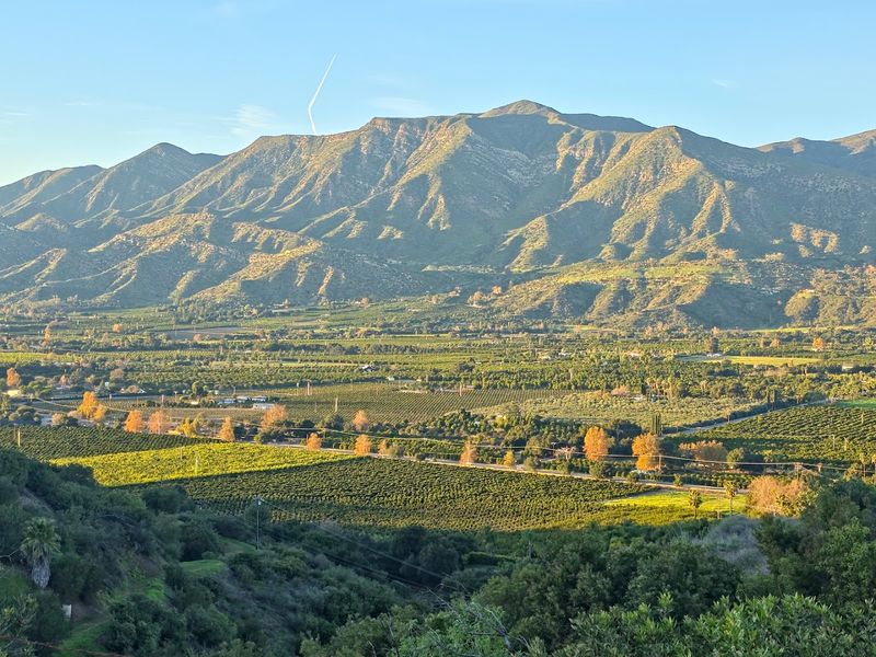 Ojai