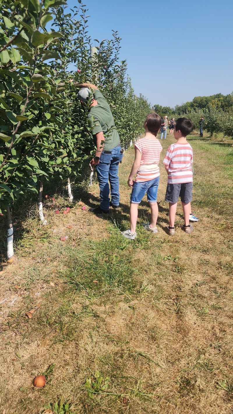 Okaw Valley Orchard, LLC, Sullivan, IL