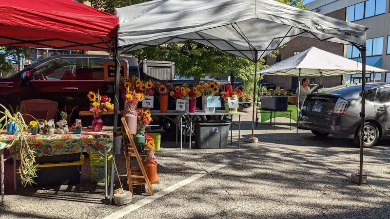 Old Capitol Farmers Market, Springfield