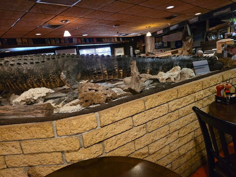 Fried Green Tomatoes That Set The Bar Impossibly High