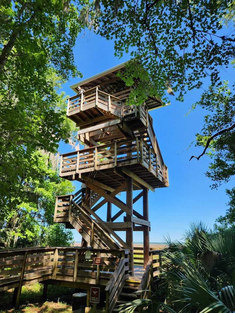 Old Florida Heritage Highway: Bison, Wild Horses, and Small-Town Charm