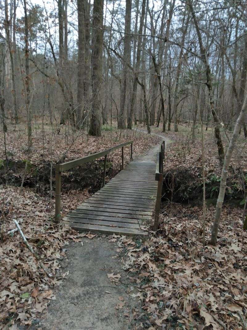 Old-Growth Woods Give The Park Its Wild Feel Old-Growth Woods Give The Park Its Wild Feel