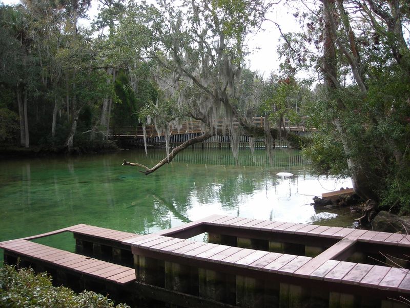 Old Homosassa Keeps The Vibe Salty Old Homosassa Keeps The Vibe Salty