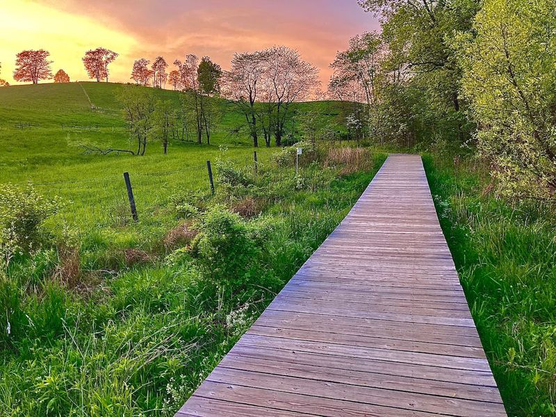 Rockbridge State Nature Preserve, Rockbridge, Ohio