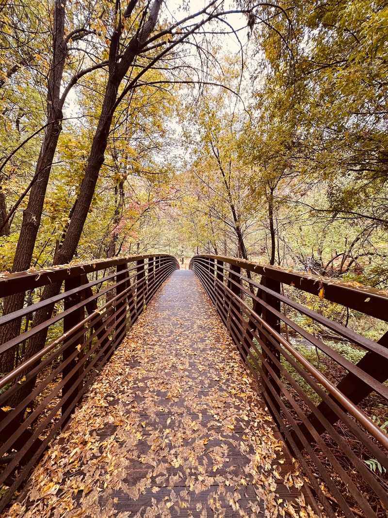 Old Mayhew Lodge Ruins and a Storybook Bridge