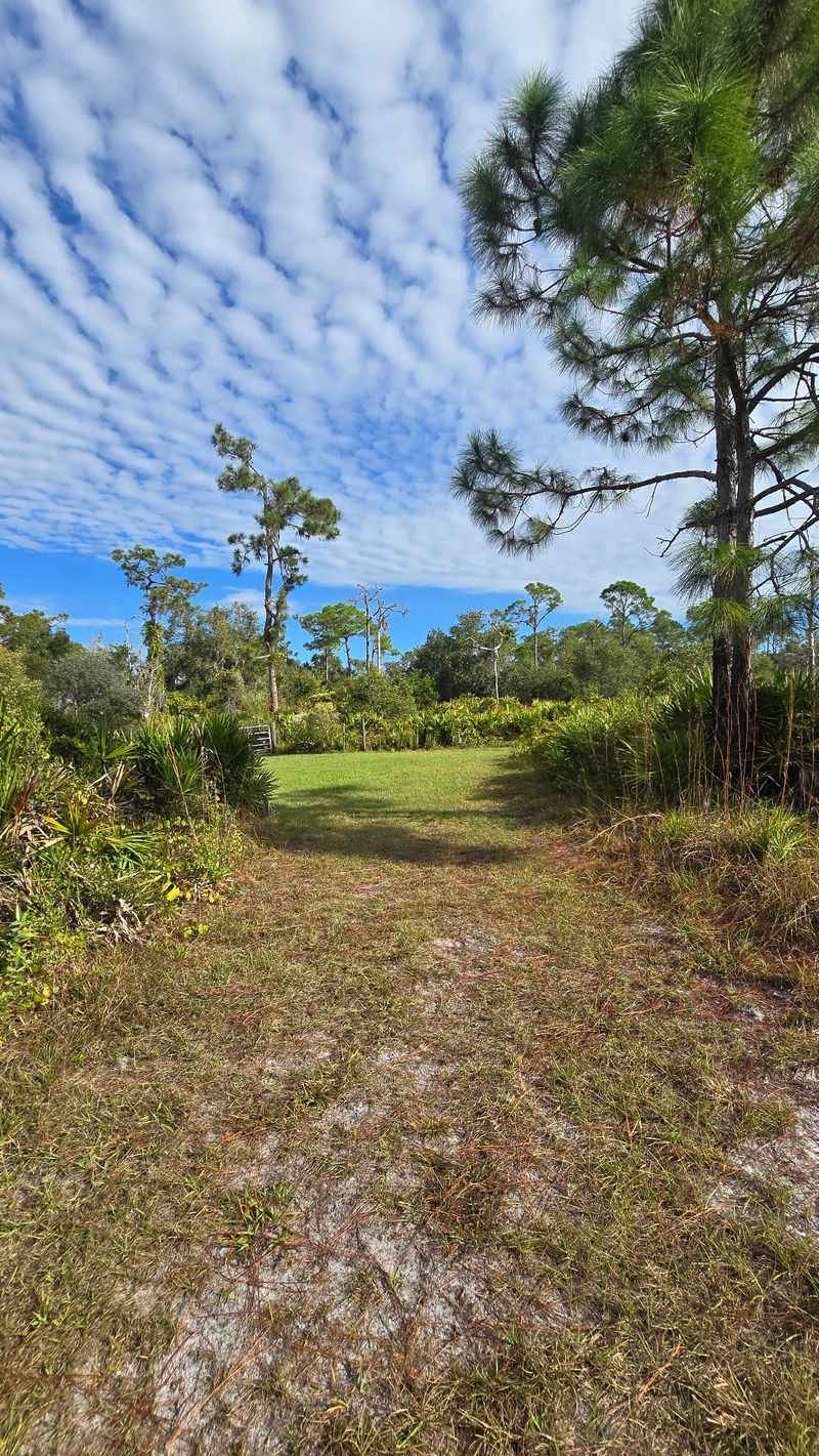 Old Miakka Preserve Trail — Sarasota