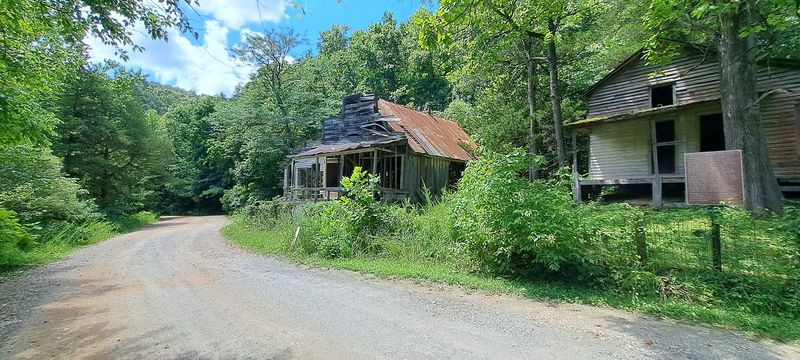 Old Mining Roads Through The Woods