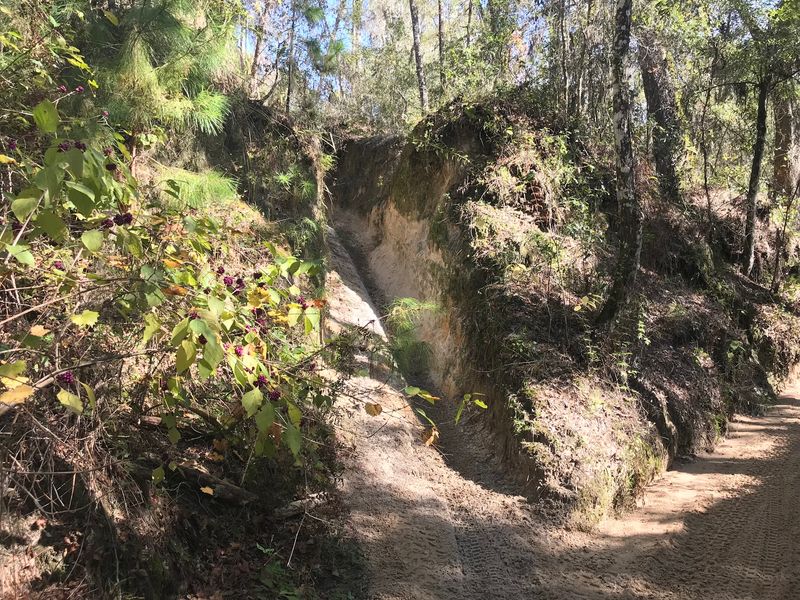 Old Mining Scars Became A Rider's Dream