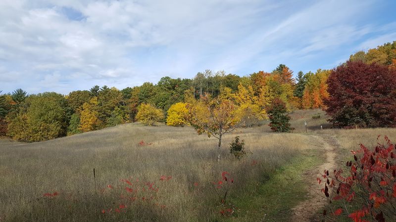 Pelizzari Natural Area, Traverse City