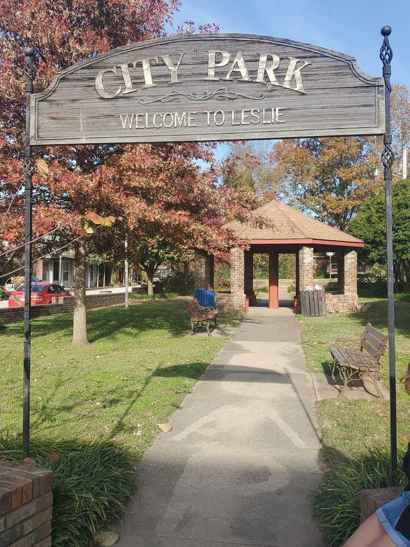 Old Ozark Rhythm Takes Over The Park