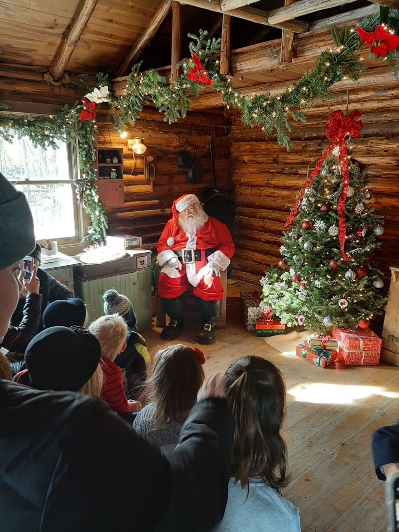 Peacock Express At Peacock Road Family Farm