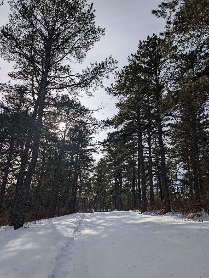 Old Roads Turned Hiking Trails Make Exploring Easy