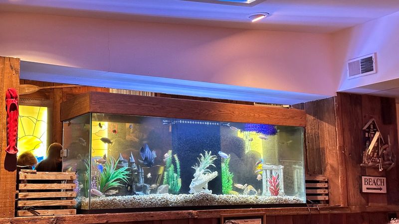 Old-School Charm With a Glowing Fish Tank Old-School Charm With a Glowing Fish Tank