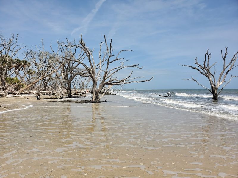 Botany Bay Plantation Heritage Preserve Ruins, Edisto Island
