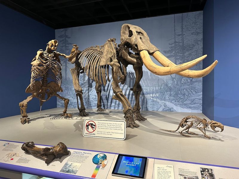 Illinois State Museum, Springfield