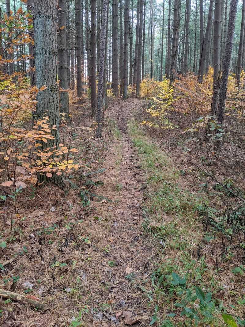 Old Stone Church Trail, Wayne National Forest Old Stone Church Trail, Wayne National Forest