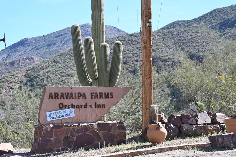 Aravaipa Farms Orchard And Inn, Winkelman