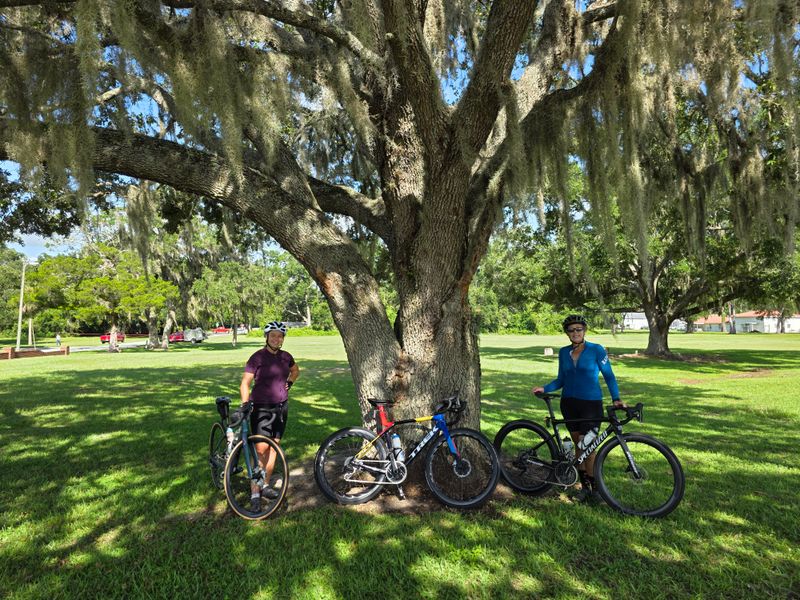 Cross City Southern Terminus