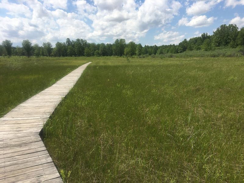 Irwin Prairie State Nature Preserve, Holland