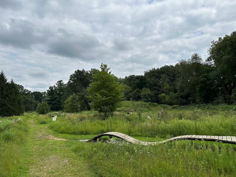 Oak Openings Preserve Metropark, Whitehouse, Ohio