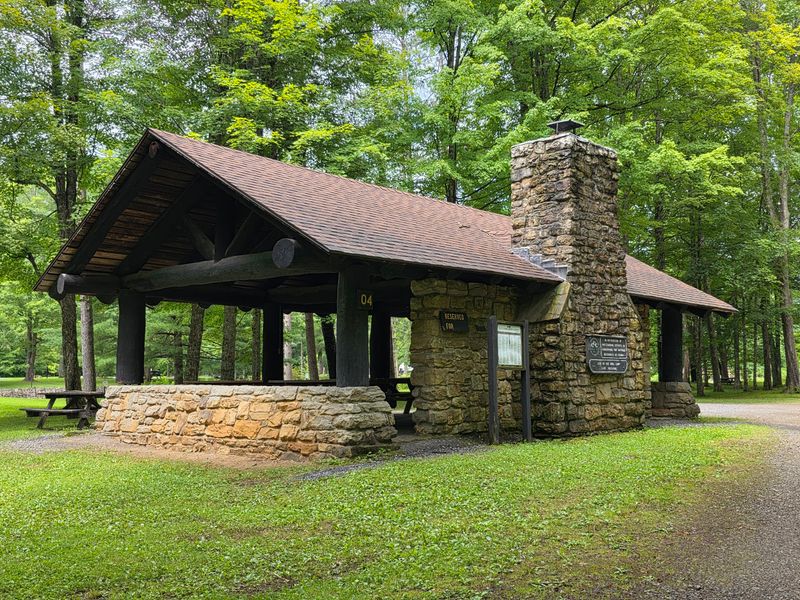 Ole Bull Cabin, Cross Fork, Pennsylvania