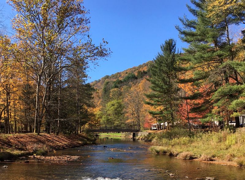 Ole Bull State Park Campground, Cross Fork, PA