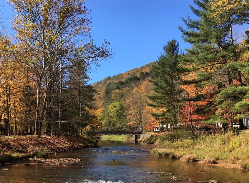 Ole Bull State Park Campground, Cross Fork, Pennsylvania